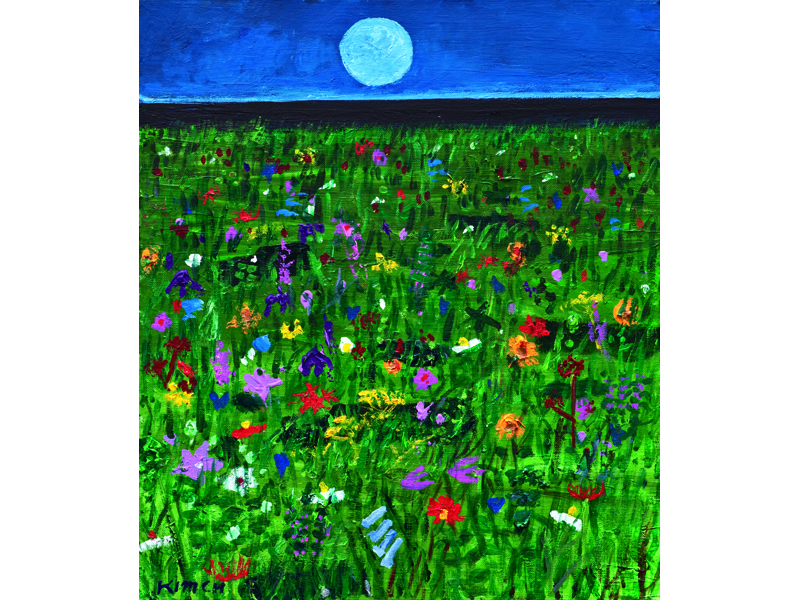 Wild flowers in the Moonlight