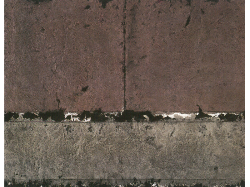 TAK No. 9009