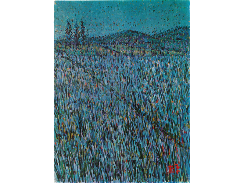 Rice-Paddy